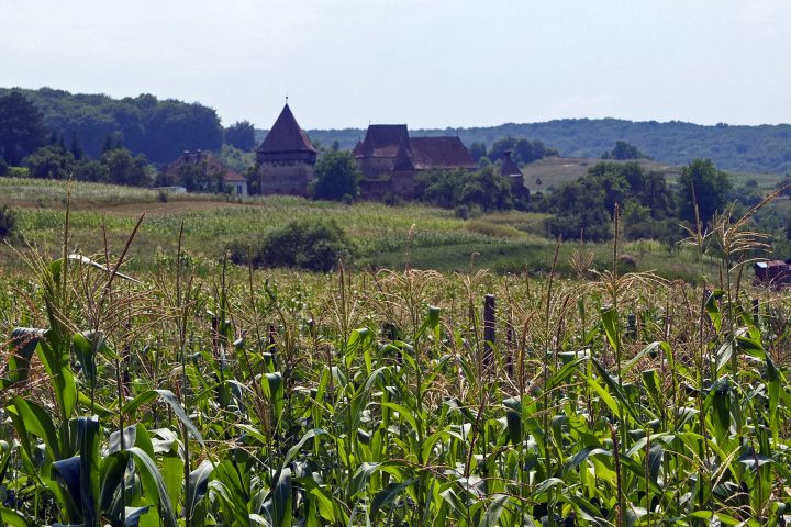 Die Burg in Almen / Alma Vii war im Sommer 2012 nicht zu besichtigen. Wegen eines politischen Streits sei der Schlüssel nicht mehr da.
