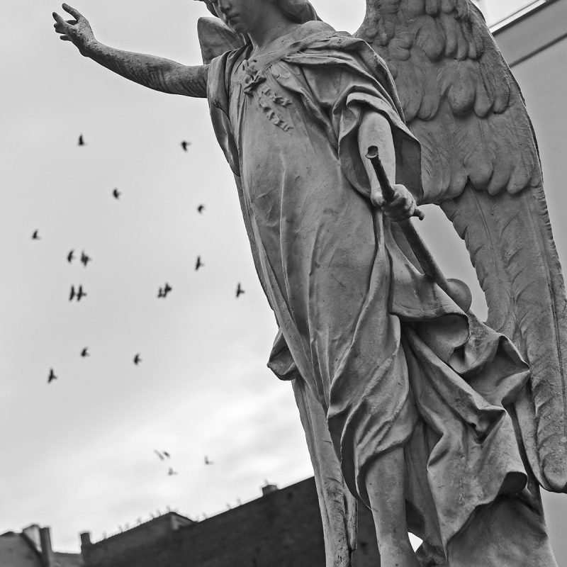 Tauben mit Engel