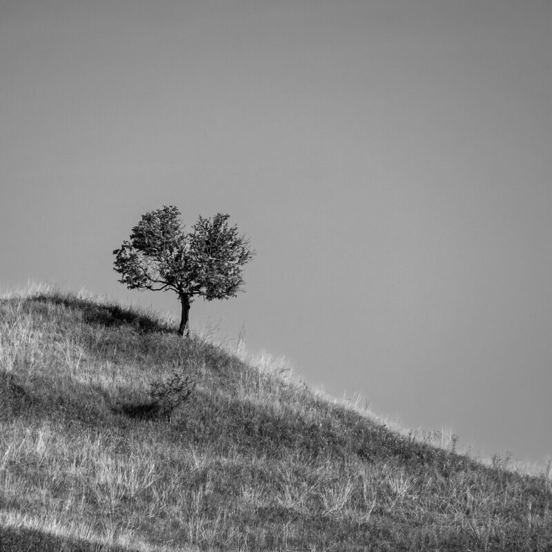 Auf dem Weg nach Felldorf