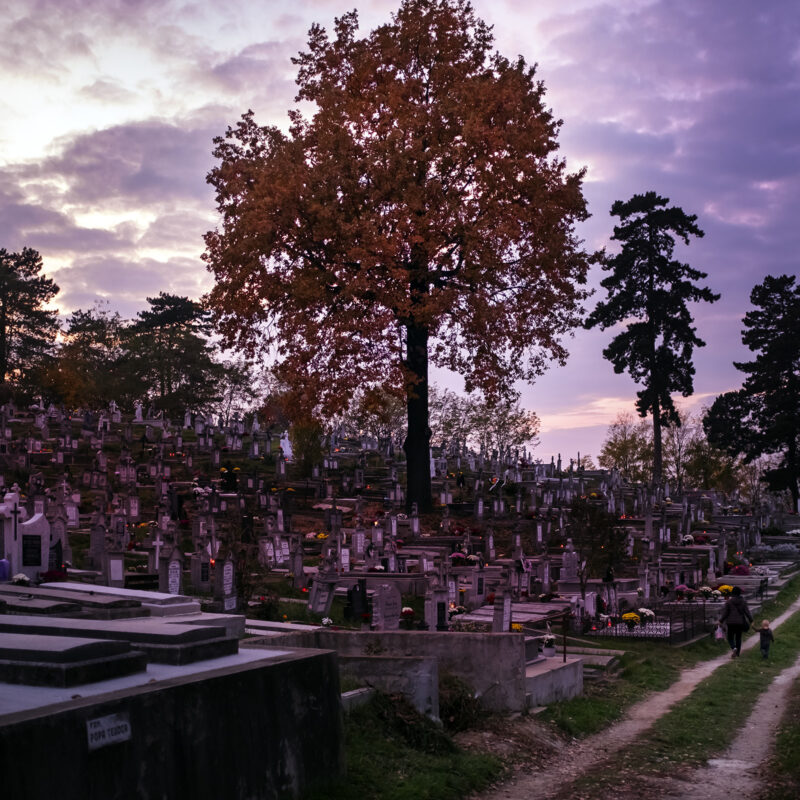 Mediasch Friedhof